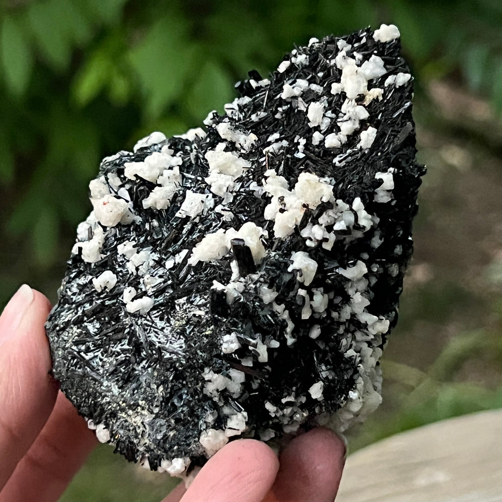 Cluster turmalina neagra model 7 din Erongo, Namibia, pietre semipretioase - druzy.ro 10 
