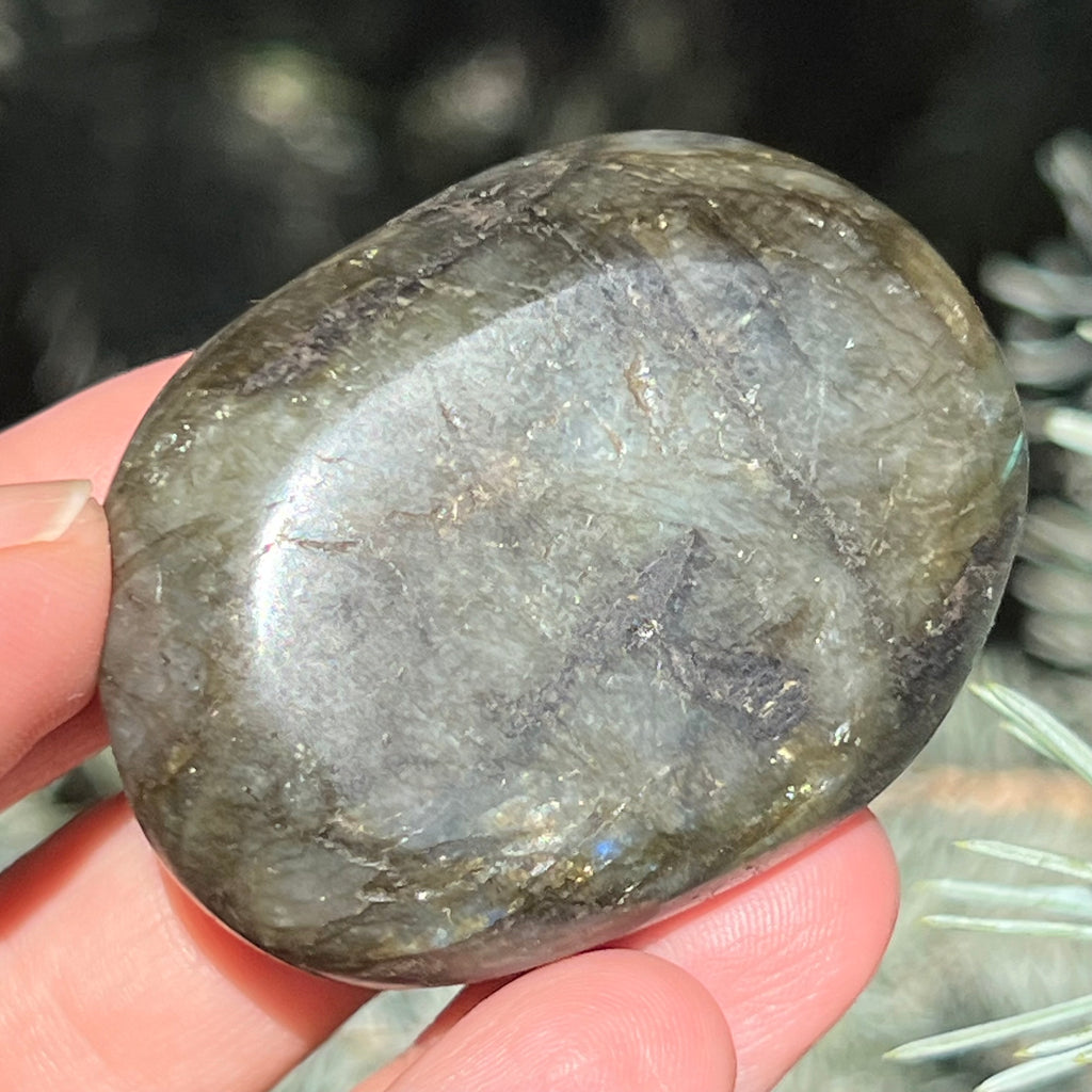 Labradorit palm stone m16, druzy.ro, cristale 6