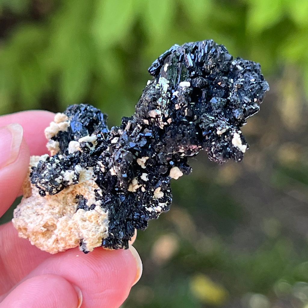 Cluster turmalina neagra model 17 din Erongo, Namibia, pietre semipretioase - druzy.ro 3 