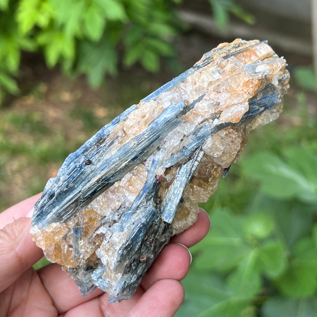 Kianit albastru (Cianit) piatra bruta din Zimbabwe model 14, pietre semipretioase - druzy.ro 1 