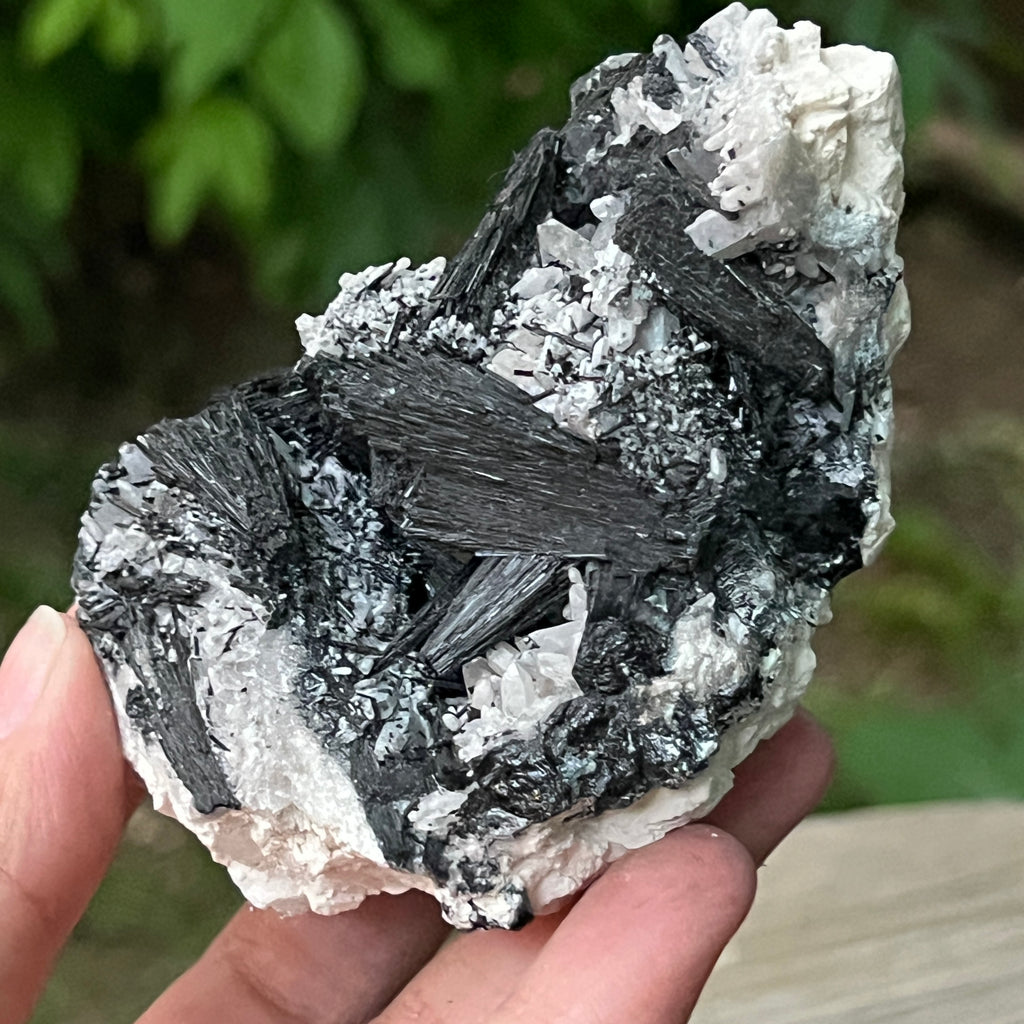 Cluster turmalina neagra model 9 din Erongo, Namibia, pietre semipretioase - druzy.ro 5 