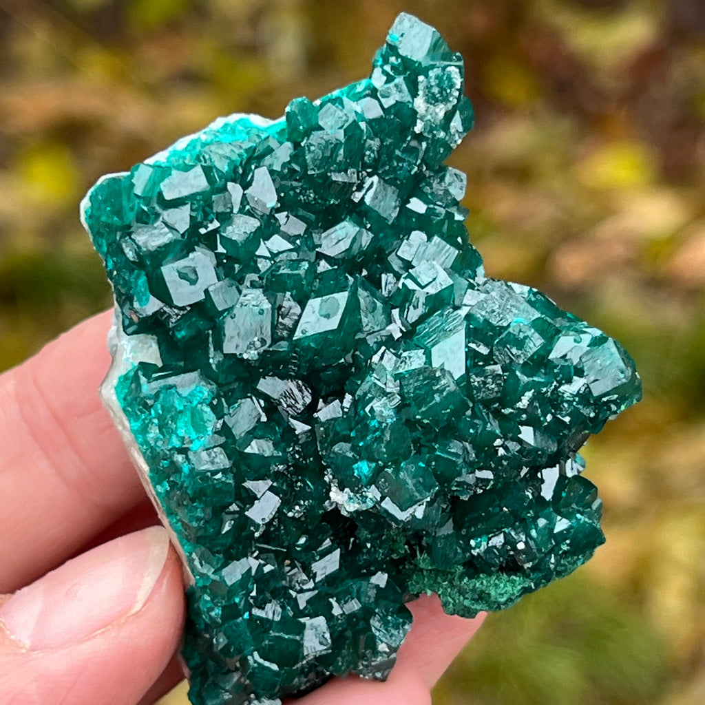 Dioptaz cluster din Congo model 7, pietre semipretioase - druzy.ro 4 