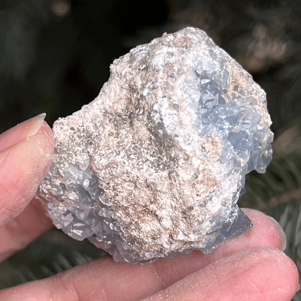 Celestit / celestina cluster m8, pietre semipretioase - druzy.ro 3 