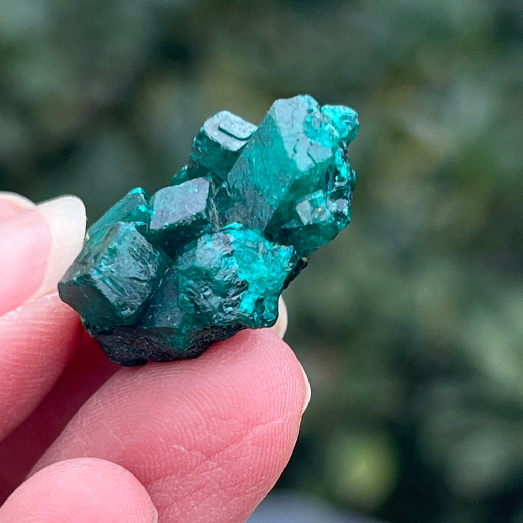 Dioptaz cluster din Congo model 16, pietre semipretioase - druzy.ro 3 