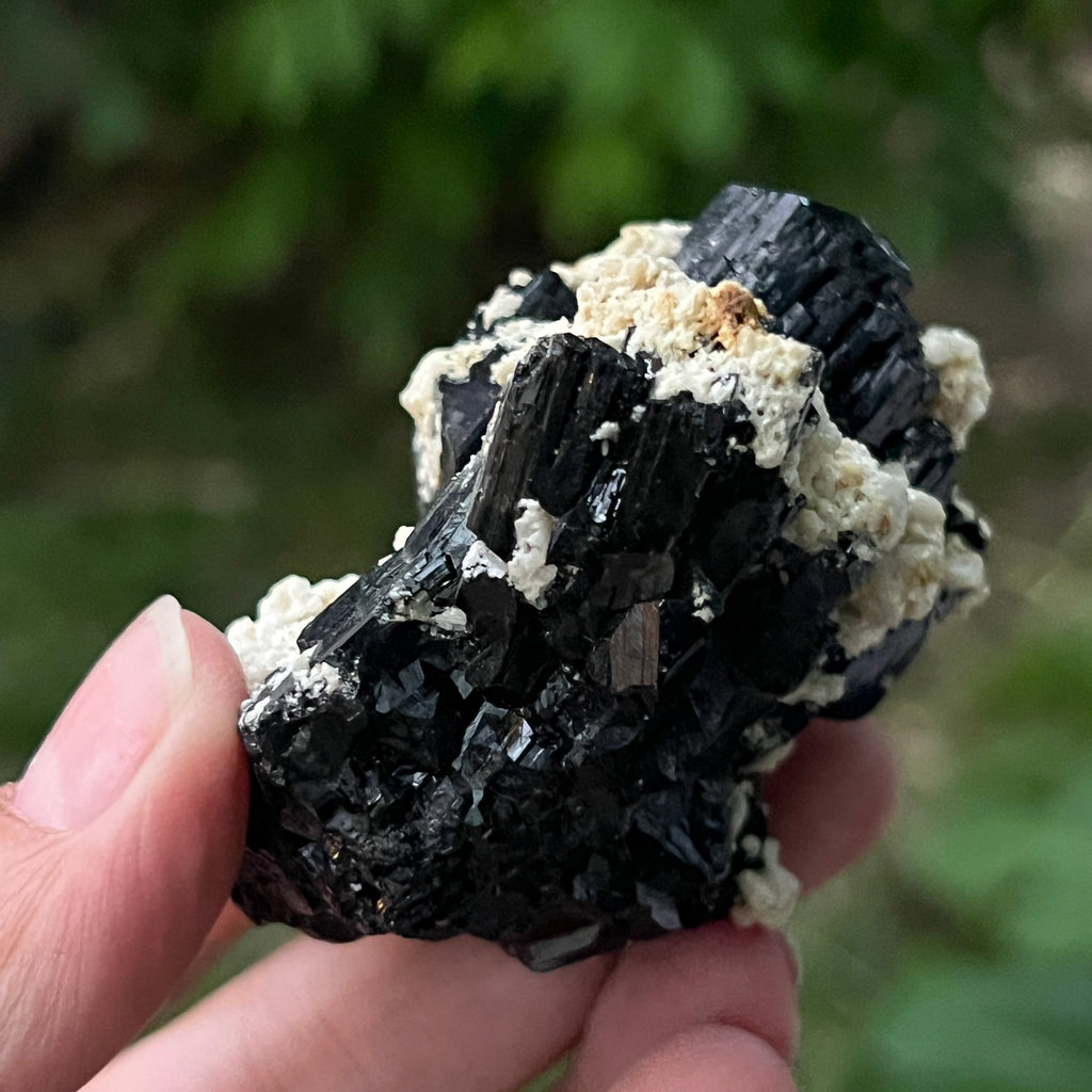 Cluster turmalina neagra model 2 din Erongo, Namibia, pietre semipretioase - druzy.ro 8 