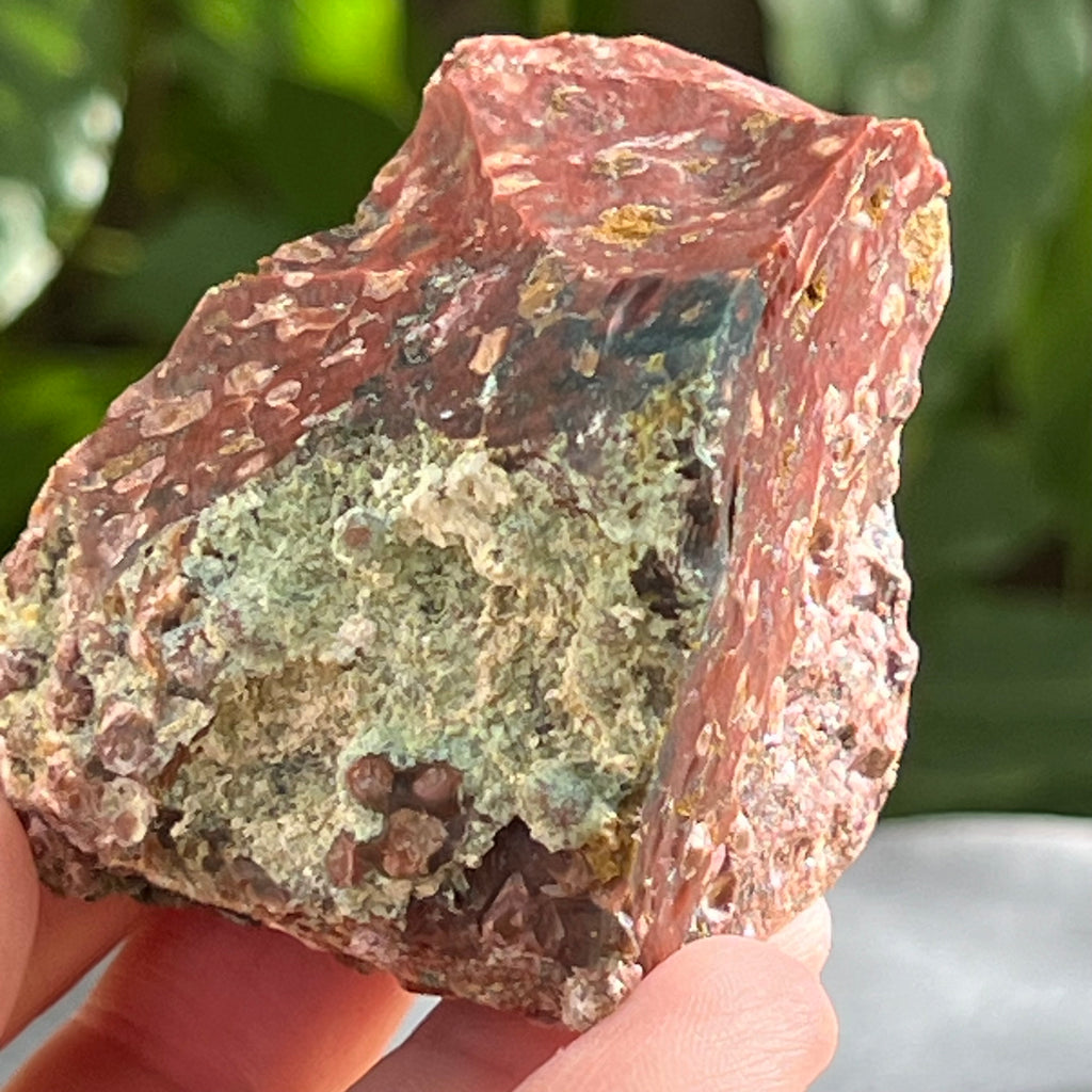 Sardonix India piatra bruta m15, pietre semipretioase - druzy.ro 5 