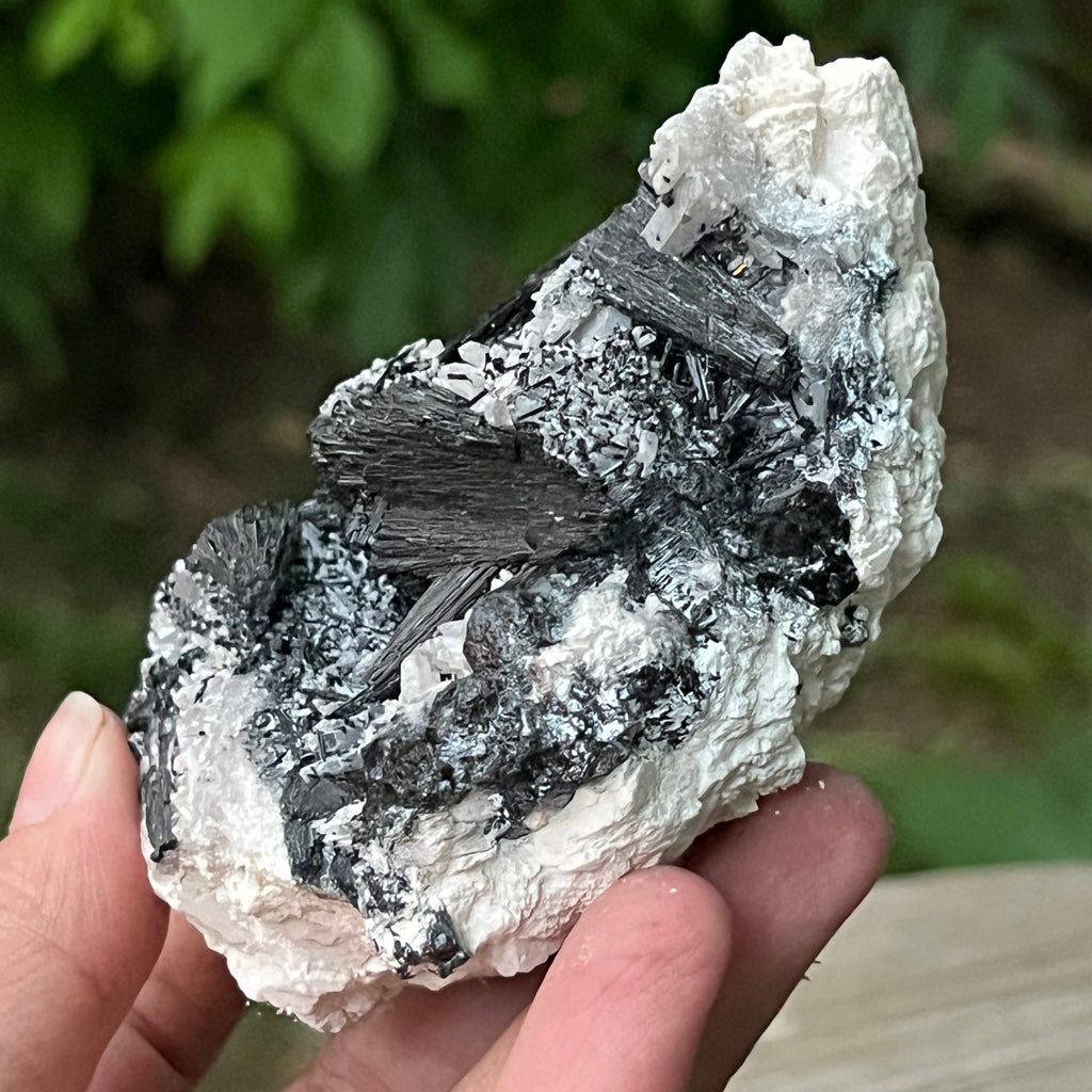 Cluster turmalina neagra model 9 din Erongo, Namibia, pietre semipretioase - druzy.ro 6 