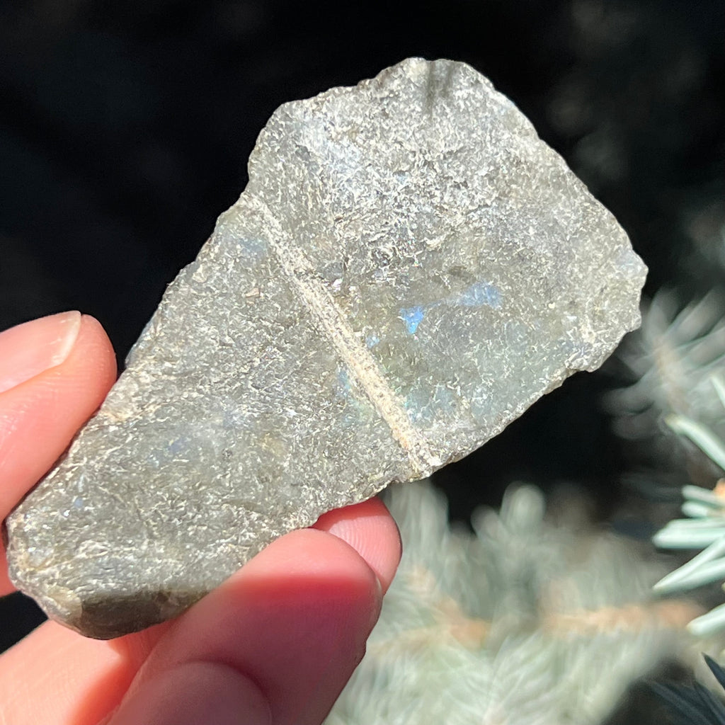 Labradorit piatra bruta polisata pe o fata m2, druzy.ro, cristale 4