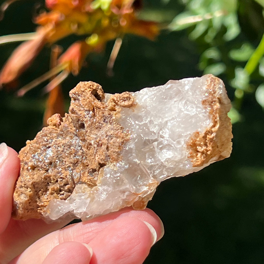 Cluster cuart lamaie Zambia, golden healer model Lm7, pietre semipretioase - druzy.ro 5
