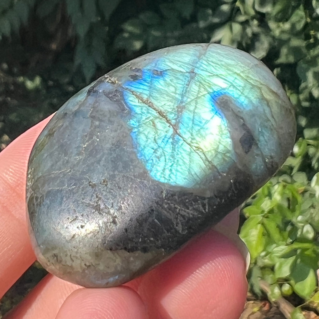 Labradorit palm stone m4, druzy.ro, cristale 2