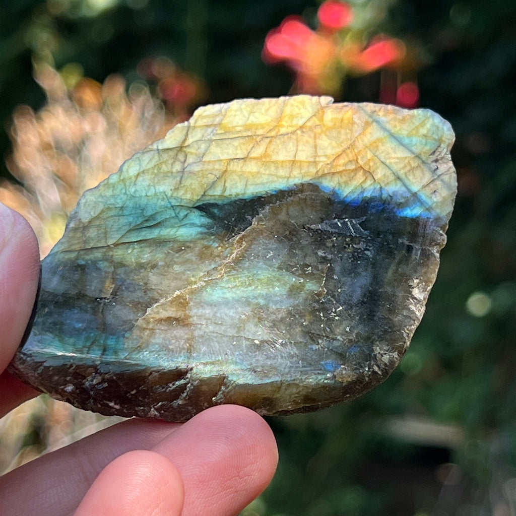 Labradorit piatra bruta polisata pe o fata m4, druzy.ro, cristale 1