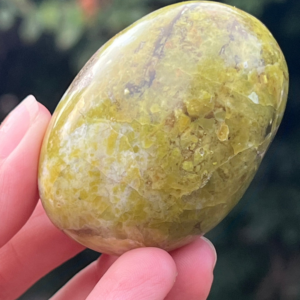 Opal verde palmstone m3, druzy.ro, cristale 1