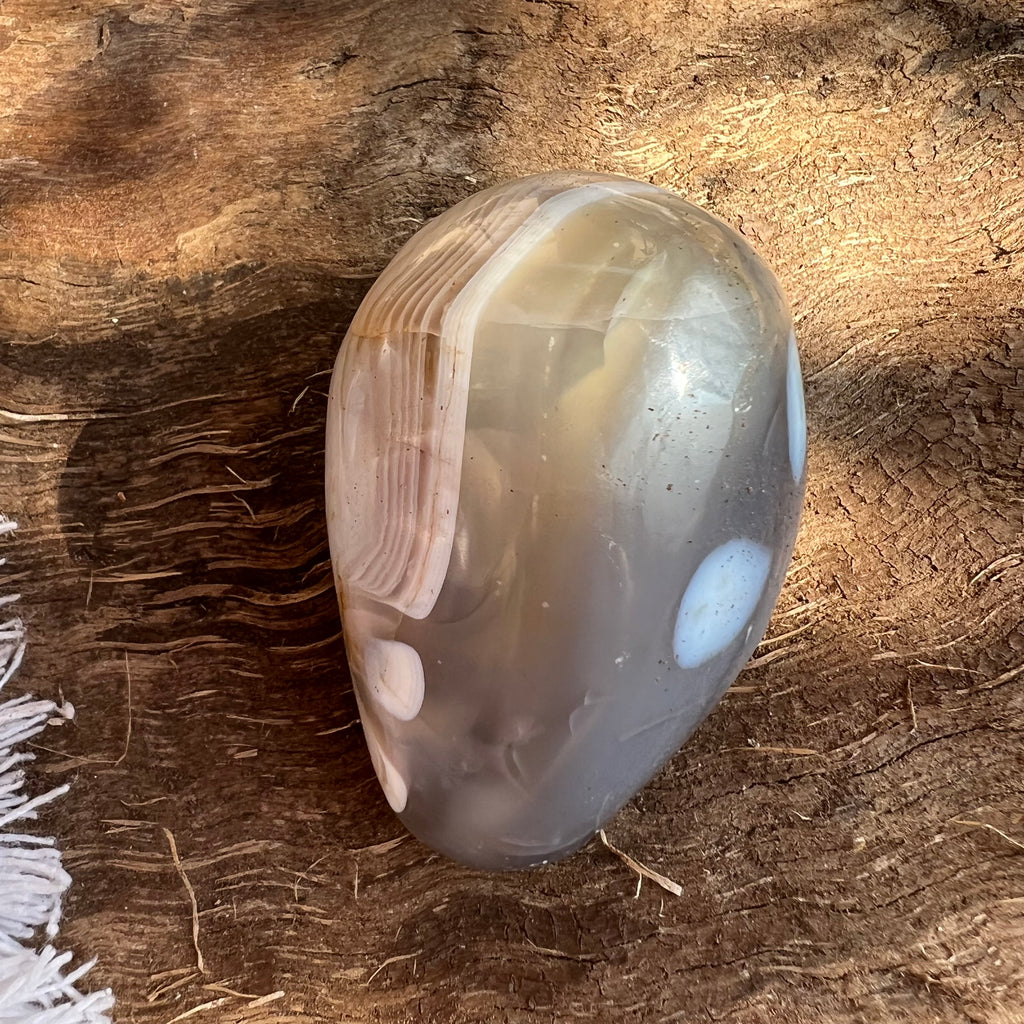 Agat de Botswana palm stone m7, druzy.ro, cristale 5